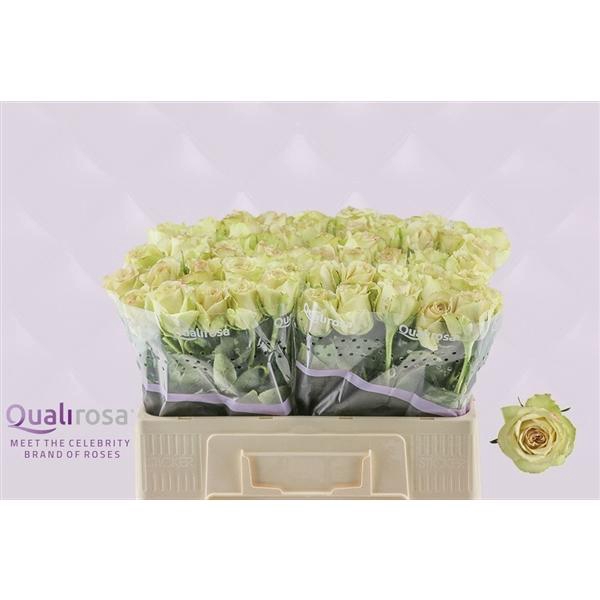 <h4>R Gr Hypnose</h4>