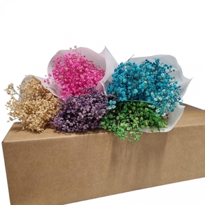 Droogbloem DIY box assorti 65cm