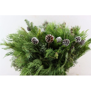Bqt Kerstgroen 55cm + Dennenappel Nat