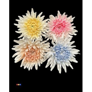 Chr G Marshmallow Mix