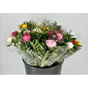 Ranunculus Pistache Mix Bouquet x7