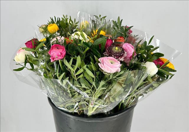 <h4>Ranunculus Pistache Mix Bouquet x7</h4>