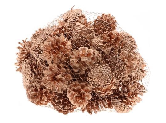 Pinecone Oostenrijker 1kg