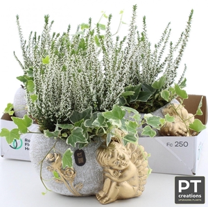 ARR TUINPLANTEN