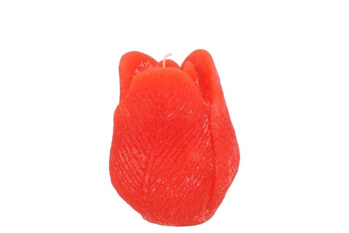 <h4>Candle Tulip Orange 7x8cm</h4>