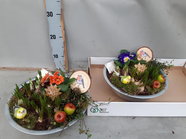 <h4>ARR BOL KNOLGEWAS</h4>