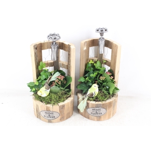 arr2 TD - Houten waterput - roze