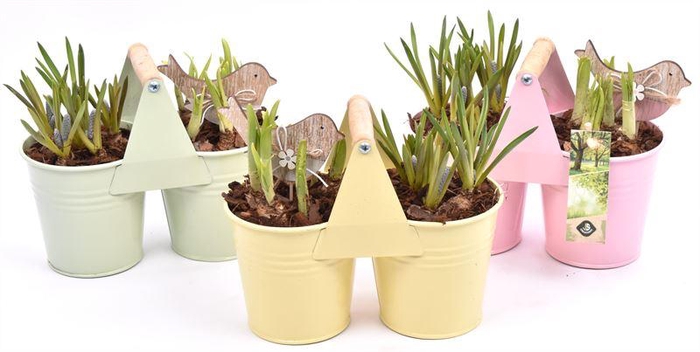 <h4>Zink duopot kl. mix 21x10cm</h4>