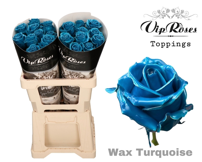 <h4>R GR WAX TURQUOISE (60CM)</h4>