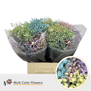 Gyps Grof Pastel Mix