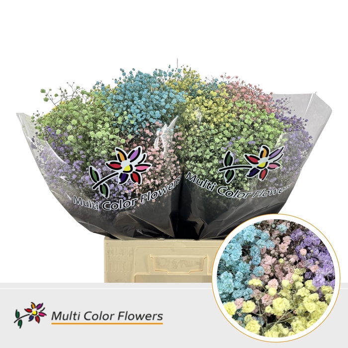 <h4>Gyps Grof Pastel Mix</h4>