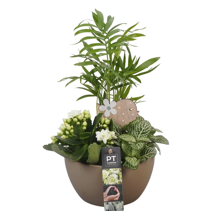 <h4>Arr.   Planten L%</h4>