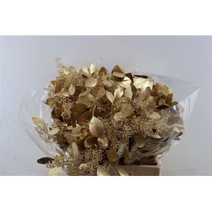 Euca Populus Berry Antique Gold P Bunch