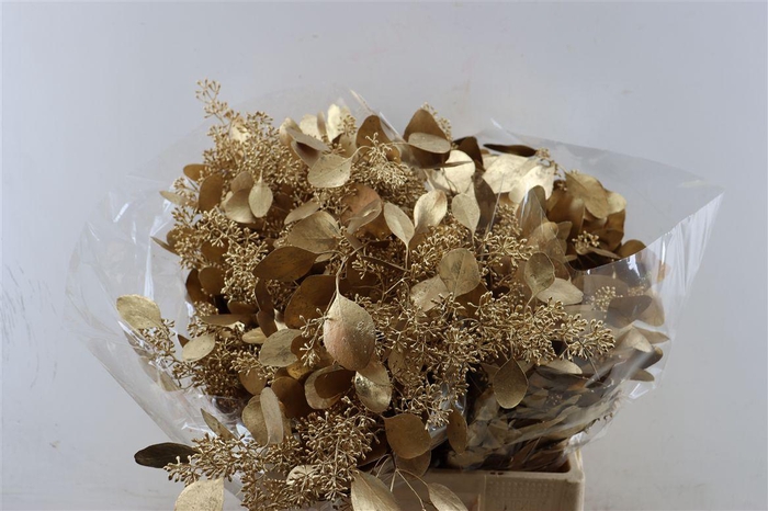 <h4>Euca Populus Berry Antique Gold P Bunch</h4>