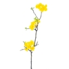 Weigelia flower branch yellow 110cm