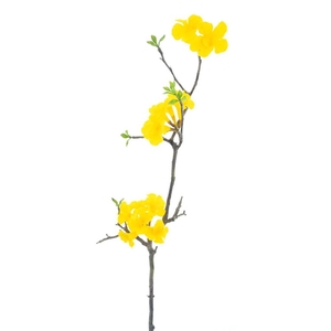 Weigelia flower branch yellow 110cm