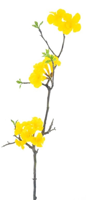 <h4>Weigelia flower branch yellow 110cm</h4>
