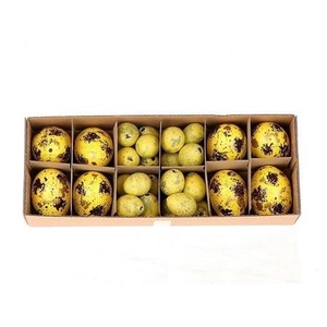 Pasen Ei kip/ kwartel x8/24