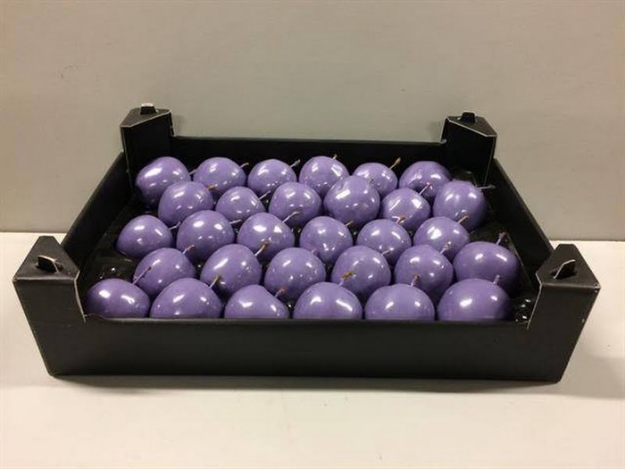 <h4>Waxapple Lavendel</h4>