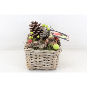 arr4 Amaryllis MB - Kubumand 4kant