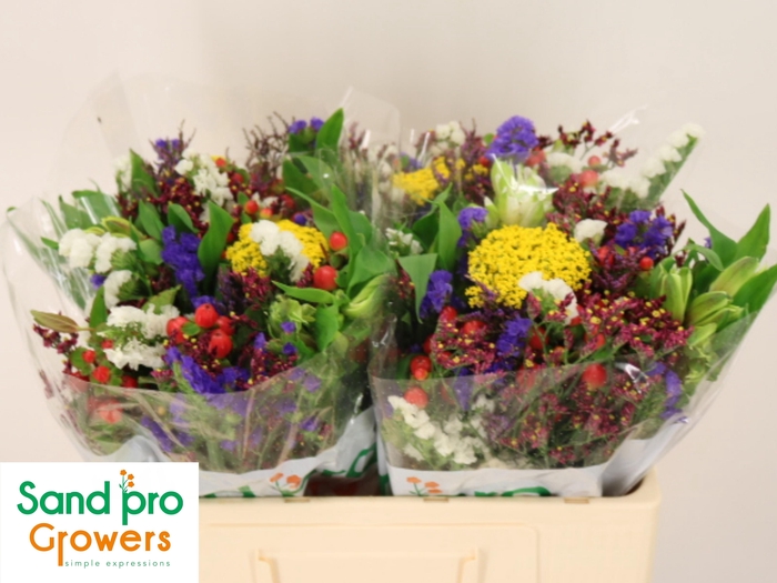 <h4>GEM ZOMERBOEKET</h4>