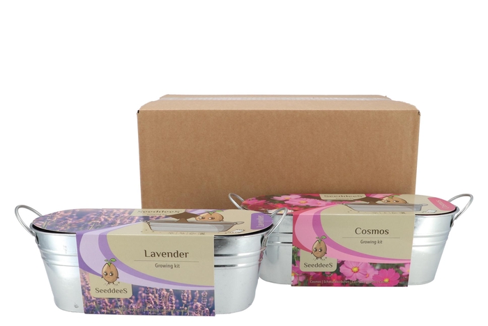 Greengift Lavender Cosmos Mix Zinc 10x28x10cm