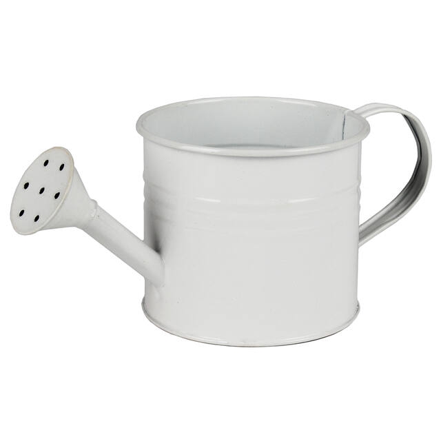 <h4>Wateringcan zinc ES9xH8cm white</h4>