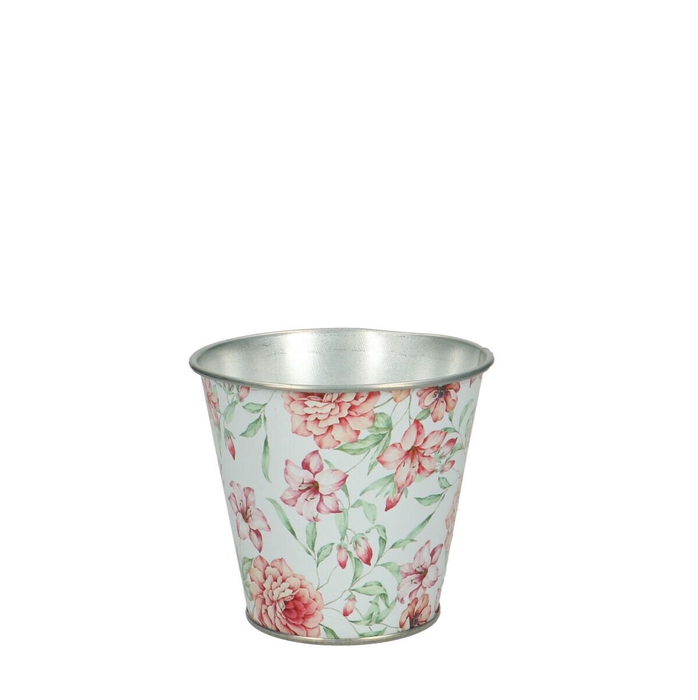 <h4>Promo Fleur pot d11*10cm</h4>