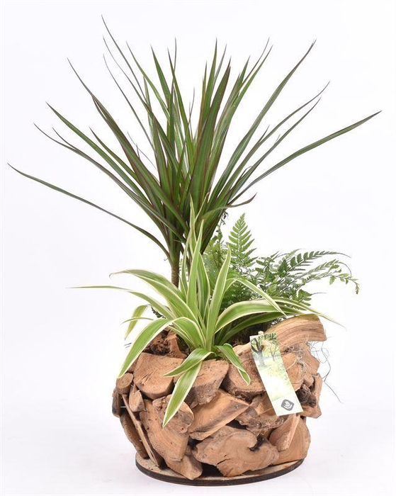 <h4>Natuur hout bol dia midden 22</h4>