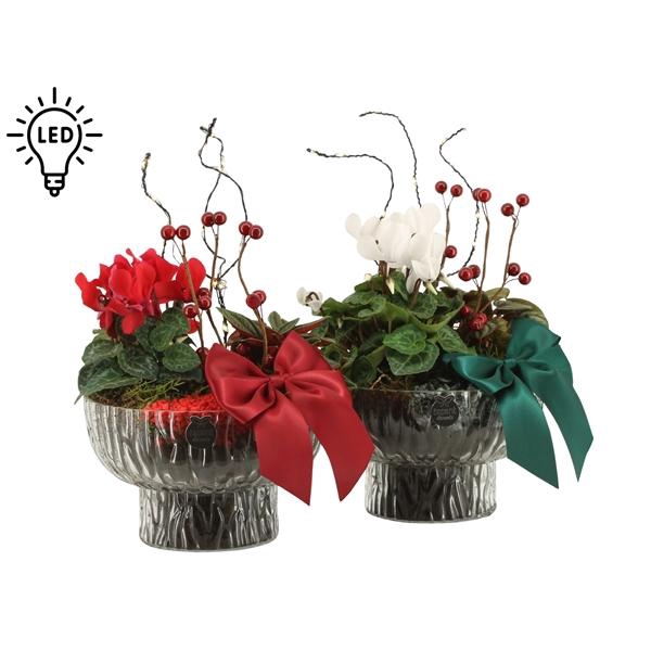 <h4>61803: X-mas arrangement</h4>