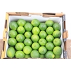 Sier Limes P Box