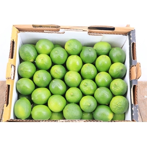 Sier Limes P Box 60 St