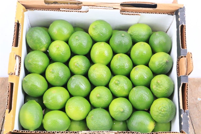 <h4>Sier Limes P Box 60 St</h4>