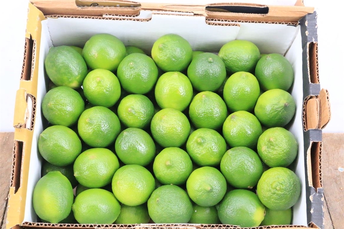 <h4>Sier Limes P Box</h4>