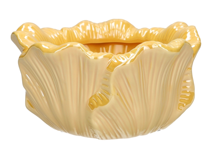 <h4>DF03-740101500 - Planter Blush d18.3xh9.5 yellow</h4>