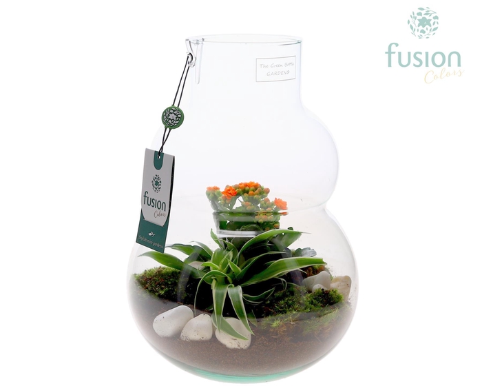 <h4>Green Bottle Olaf Medium met arrangement</h4>