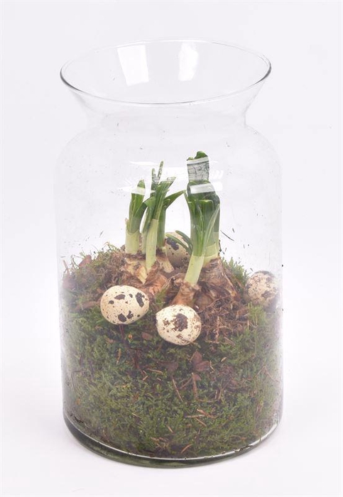 <h4>Glas cilinder met hals 14cm/h25cm</h4>