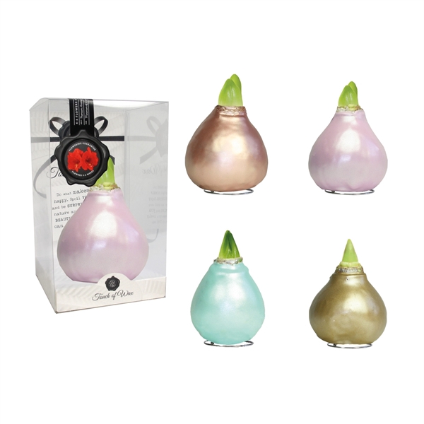 <h4>Amaryllis Red Celebration Mix Plastic</h4>