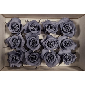 Ro Pres Mini Graphite