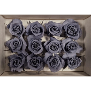 Ro Pres Mini Graphite