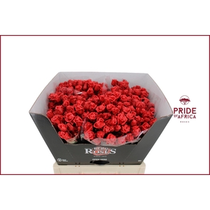 R GR GEWAXT WAX Tros Red Ferrari L60