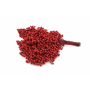 Schinus M Pt Red Bunch