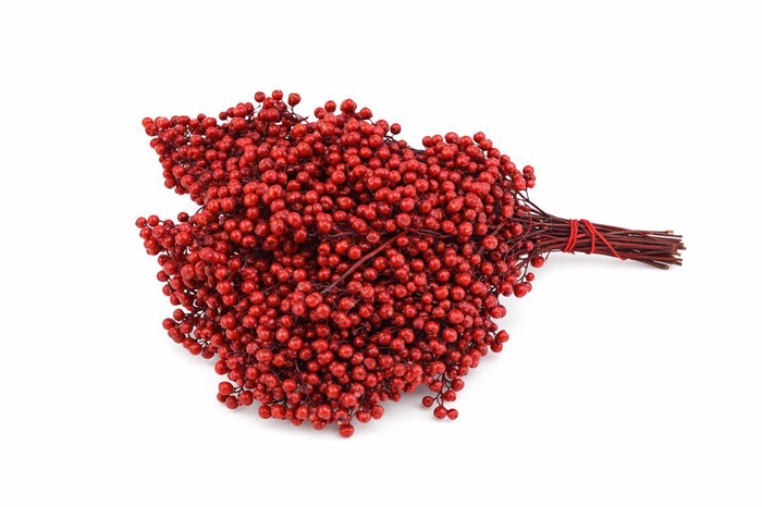 <h4>Schinus M Pt Red Bunch</h4>
