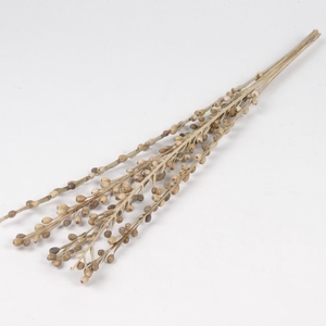 DF Moti Stick Bs 5pcs 55cm Nat