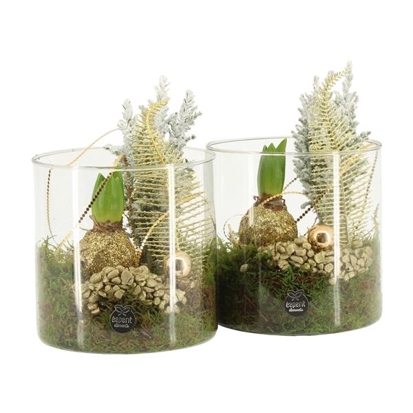 <h4>61925: X-mas arrangement</h4>