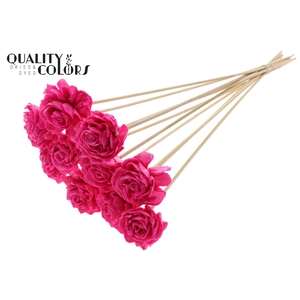 Shola Dahlia 6cm on stem Wax Cerise