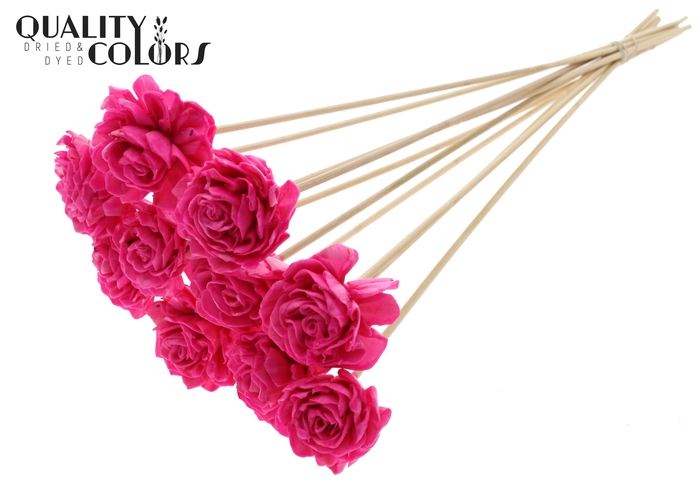 Shola Dahlia 6cm on stem Wax Cerise
