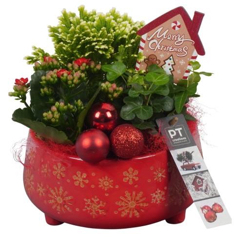 <h4>PTCHR7214 Arrangementen Kerst</h4>