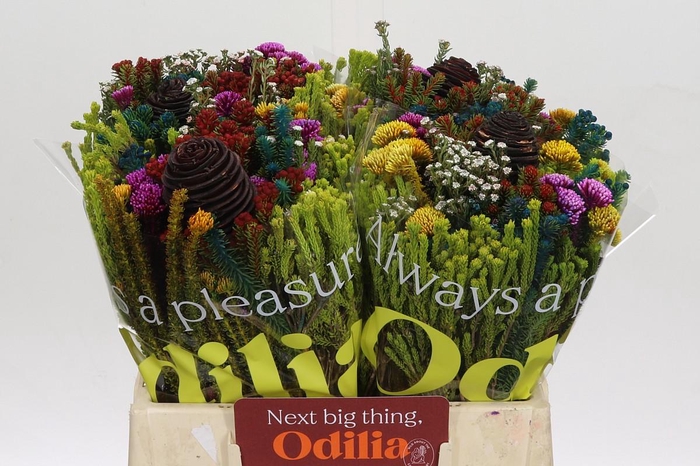 <h4>BQ Kaaps Groen Mandarin</h4>