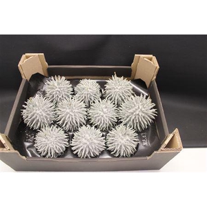 F-stekel Olijf Glitter